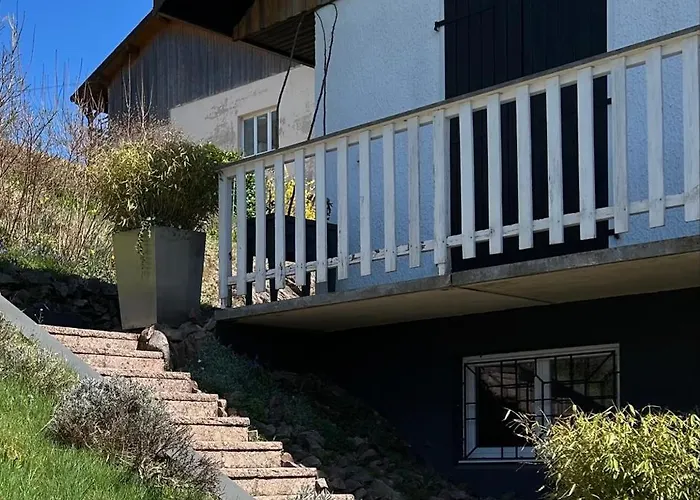 Dans A Proximite De Sentiers De Randonnee Incroyables Apartmán Remiremont